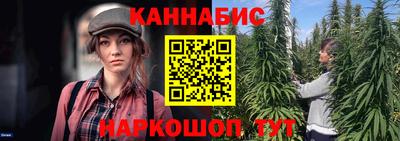 крисы Дубна